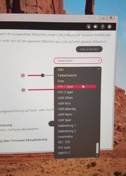 Software-Menü des Monitors