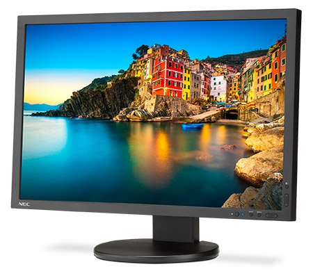 NEC P243W-BK