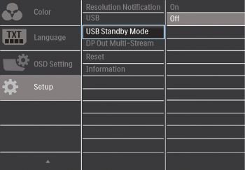 OSD: Setup (Screenshot Handbuch Philips)