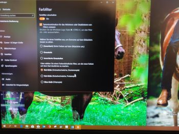 Windows-Farbfilter Grünschwäche