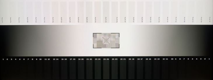 Graustufendarstellung des ViewSonic VP2458