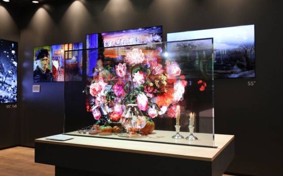 LG T-OLED 55 Zoll (Bild: LG)