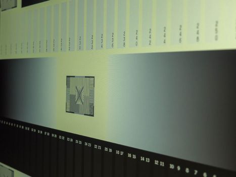 Graustufendarstellung in der Seitenansicht