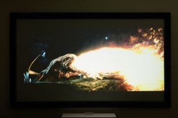 Die Licht-Power eines Drachen – fehlt nur noch der Kontrast
