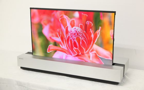 Sharps aufrollbarer 4K-OLED (Bild: Sharp)