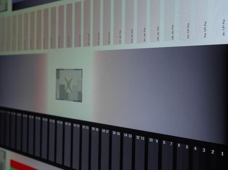 Seitliche Ansicht der Graustufendarstellung