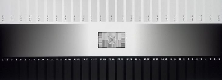 Graustufendarstellung des LG 38GL950G-B