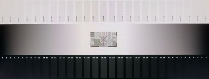 Graustufendarstellung des Eizo CS2731