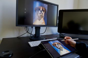 Illustration mit iPad & EIZO