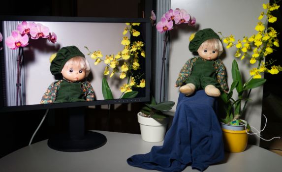 Original und Monitordarstellung