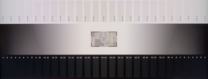 Graustufendarstelling des Asus PA248QV