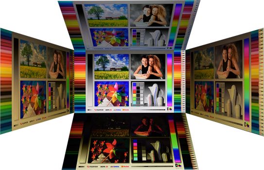 Horizontale und vertikale Blickwinkel vom TN-Panel des BenQ BL2483TM