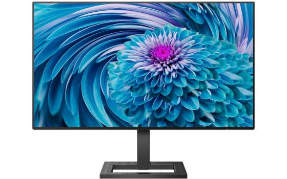 Philips E-Line 242E2FA (Bild: Philips)