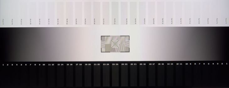 Graustufendarstellung des Asus VA24EHL
