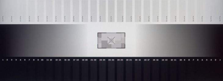 Graustufendarstellung des Acer Predator XB253QGP