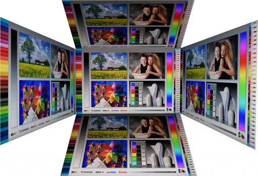 Horizontale und vertikale Blickwinkel vom IPS-Panel des Eizo EV2495-BK