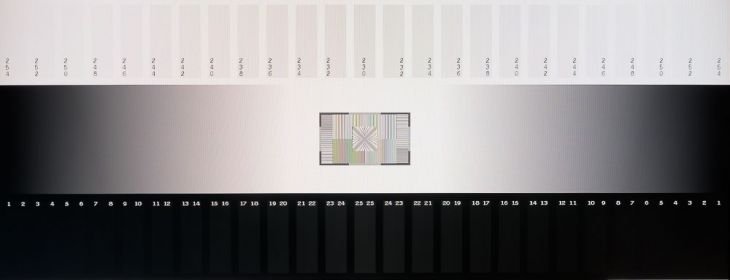 Graustufendarstellung vom IPS-Panel des Eizo EV2495-BK