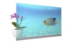 Panasonic: Transparenter OLED-Monitor ist marktreif Panasonic TP-55ZT100 (Bild: Panasonic)