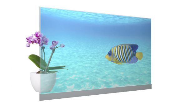 Panasonic TP-55ZT100 (Bild: Panasonic)