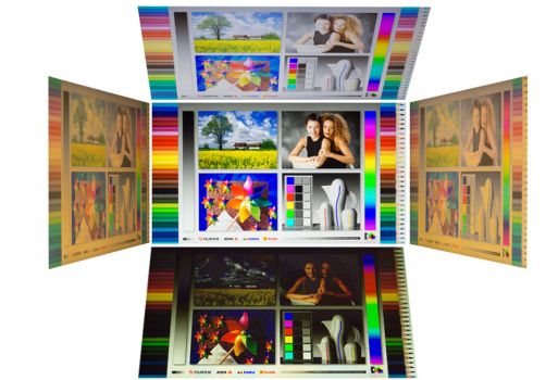 Horizontale und vertikale Blickwinkel vom TN-Panel des ViewSonic VX2458-P-MHD