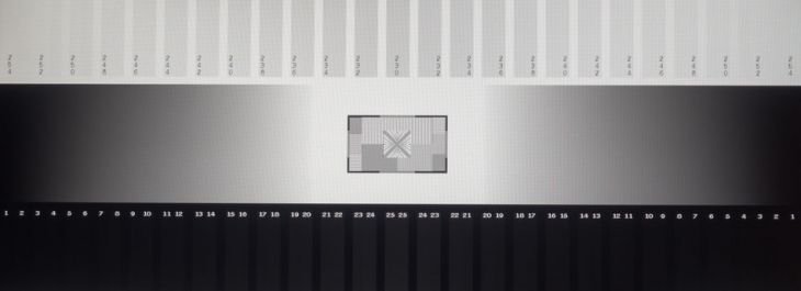 Graustufendarstellung des TN-Panels vom ViewSonic VX2458-P-MHD