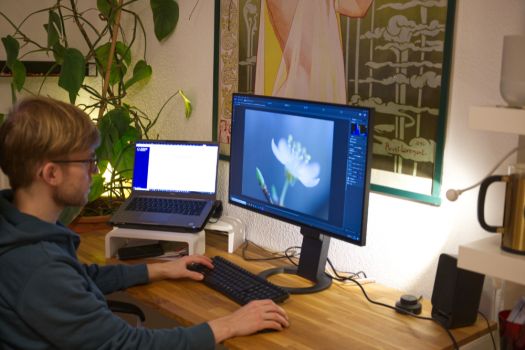 Der Tester bei der Bildbearbeitung