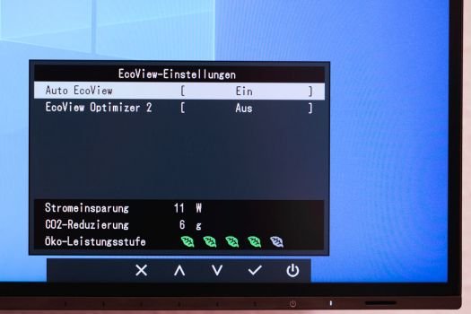 Das OSD: Übersichtlich aufgebaut und selbsterklärend. Hier am Beispiel des EcoView-Modus