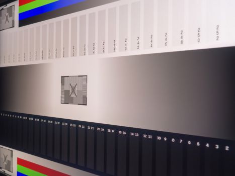 Auch bei seitlicher Ansicht wirkt das Graustufenbild noch ordentlich