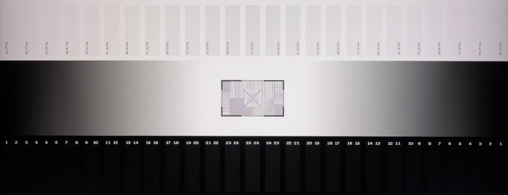 Graustufendarstellung vom IPS-Panel des MSI MD241P