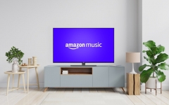 Vestel-TVs mit Amazon Music (Bild: Vestel)