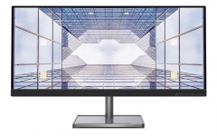 Lenovo L29w-30 (Bild: Lenovo)