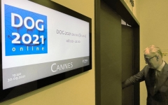 DOG 2021 (Bild: DOG)