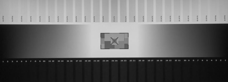 Graustufendarstellung vom IPS-Panel des MSI Optix MEG381CQR Plus
