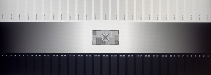 Graustufendarstellung vom IPS-Panel des MSI Oculux NXG253RDE