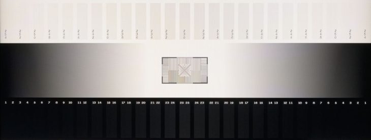 Graustufendarstellung des IPS-Panels vom NEC E273F