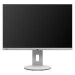 Monitor Datenblatt Fujitsu P2410 WE