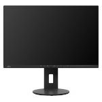 Monitor Datenblatt Fujitsu P2410 WS
