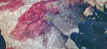 Und hier in Grün (Spiel: Destiny 2)