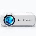 Beamer Datenblatt VANKYO Leisure D30T