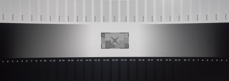 Graustufendarstellung vom OLED-Panel des LG 45GR95QE