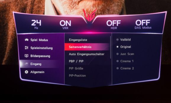 Es können keine anderen Seitenverhältnisse ausgewählt werden