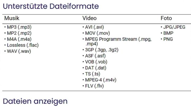 Vom Mediaplayer unterstützte Dateiformate (Screenshot: BenQ-Handbuch)