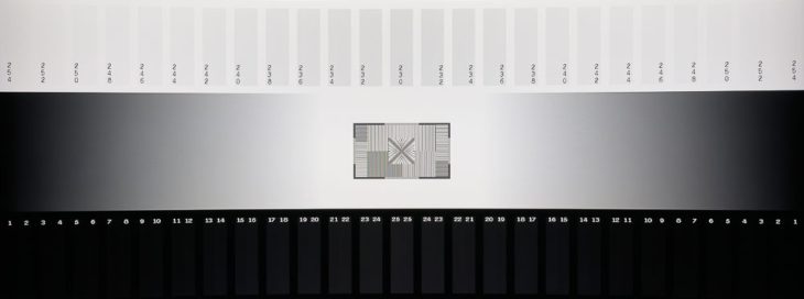 Graustufendarstellung des VA-Panels mit Software-Skalierung