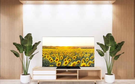 Toshiba XA9D (Bild: Toshiba)