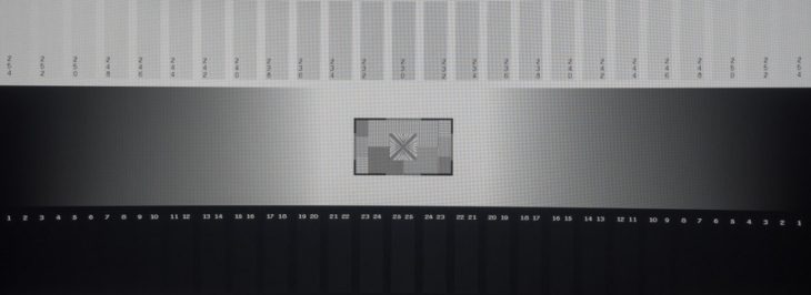 Graustufendarstellung vom OLED-Panel des Acer Predator X45