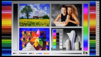 Epson EH-LS650B: Screenshot des Testbildes der Farbraumabdeckung
