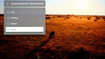 Automatischer dynamischer Kontrast: Hoch