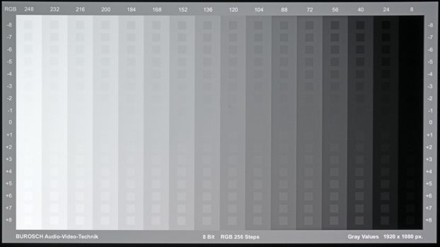 Graustufendarstellung des BenQ X3000i