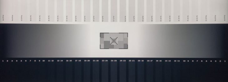 Graustufendarstellung vom VA-Panel des MSI MAG 325CQRXFDE