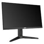 Monitor Datenblatt Asus VG249QL3A